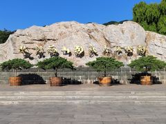 -北京西山国家森林公园