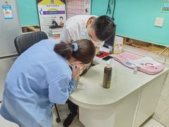 -天使宠物医院·犬猫分诊(彩虹店)