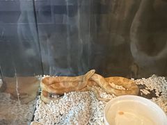 -春晖园度假酒店温泉