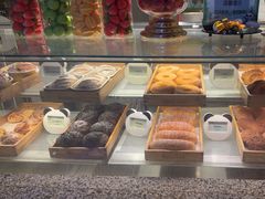 -美食小镇·观赏珍稀鸟类·长隆熊猫酒店