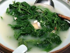 上汤桑叶苗-大榕树下顺德菜(融创茂店)