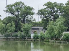 -八大山人梅湖景区