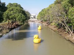 -嘉北郊野公园