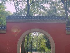 -灵谷景区