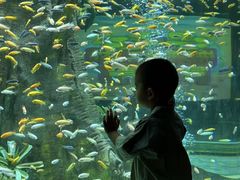 -合肥海洋世界