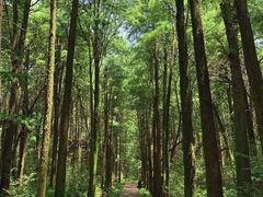-同里国家湿地公园