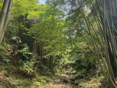 -凤栖山