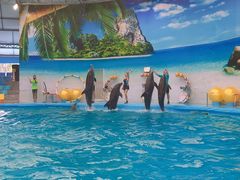 -尼莫海豚馆
