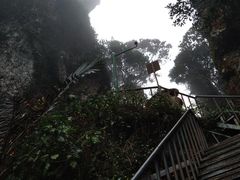 -七仙岭温泉国家森林公园