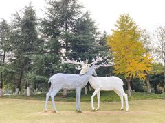 -后襄河公园