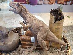 -巧克玩家·城市伴手礼(in88银泰店)