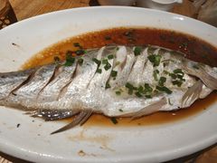 清蒸闽江大白刁-醉南拳客家菜·河田鸡(西禅寺杨桥店)