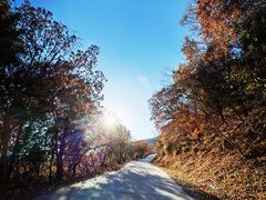 -北京西山国家森林公园