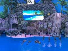 -珠海长隆海洋王国
