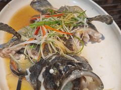 -百年银屏蚝烙·潮汕菜·非遗(乐山店)