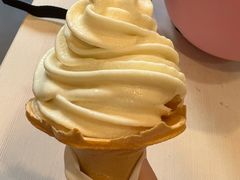 豆浆冰淇淋-永和大王(长寿路店)