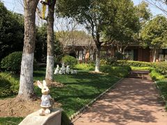 -上海海湾国家森林公园