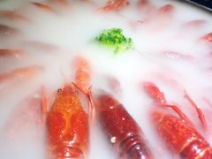 经典冰镇龙虾-红盔甲·小龙虾(天钥桥店)