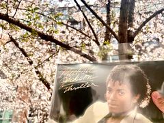 -Hi Fi Acoustic 梵香禅韵·色声香味