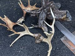 -莫尔道嘎国家森林公园