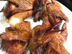 -鸽鸟轩(石岐店)