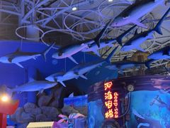 -烟台海昌鲸鲨海洋公园
