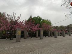 -唐城墙遗址公园