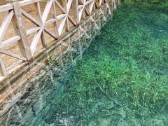 -叠溪松坪沟景区