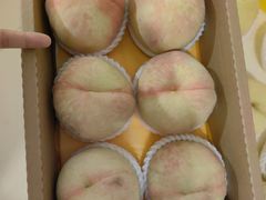 -老袁家蜜桃农场·阳山水蜜桃