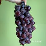 云南夏黑葡萄
