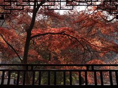 -虎丘山风景名胜区