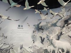 -中国湿地博物馆
