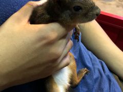 -MOJO密室逃脱(中街旗舰店)