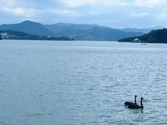 -东钱湖旅游度假区