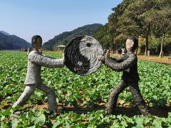 -广州市石门国家森林公园