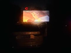 -枫花园汽车电影院(朝阳公园店)