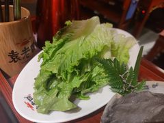 生菜-袁老四重庆老火锅(桐梓坡店)