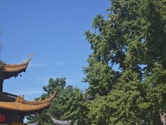 -圆通寺