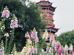 -厦门园林博览苑