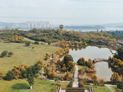 -张坝桂圆林公园