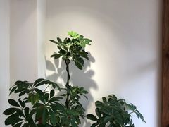 -本無咖啡·BeanWood Coffee