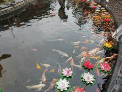 -上海东林寺(金山区)