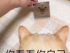 -希籽咖啡(大召店/清真)