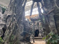 -郑州银基黄帝宫御温泉