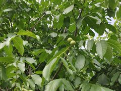 -天津盘山风景名胜区