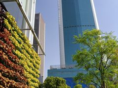 -西北湖绿化广场