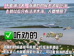-日照海滨国家森林公园