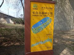 -长白岛森林公园