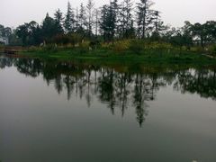 -桤木河湿地公园