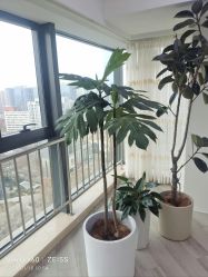 -HEYAN荷妍专业脱毛连锁机构